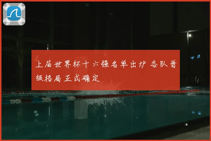 上届世界杯十六强名单出炉 各队晋级格局正式确定