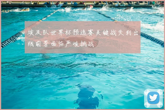 埃及队世界杯预选赛关键战失利出线前景面临严峻挑战
